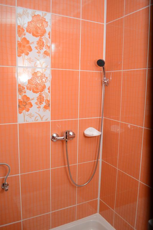 ホテルErsa Panzio Bisericani  部屋 写真