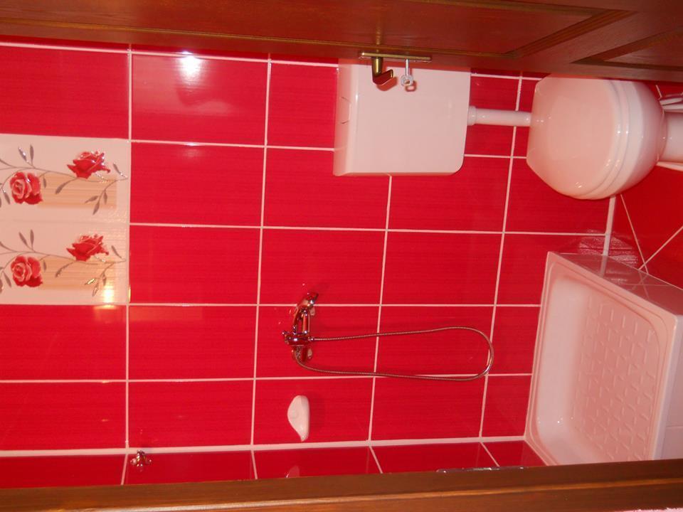 ホテルErsa Panzio Bisericani  部屋 写真